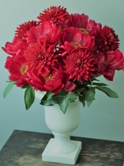 レッドチャーム