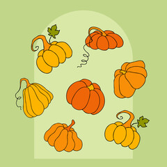 Cute autumn vector illustration, hand drawn pumpkins