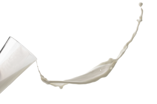 a glass glass from which milk splashes out, isolated on a white background