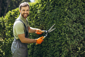 Garden worker trimming bushes with scissors in the yard