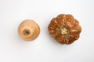 Whole fresh ripe yellow butternut squash small brown pumpkin on white background 