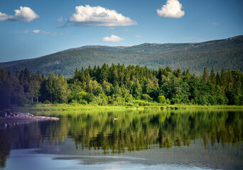 Fototapeta na wymiar Beautiful summer Scandinavian landscape in Norway. Lake green forest and blue sky