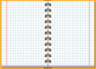 Notebook checked school paper
