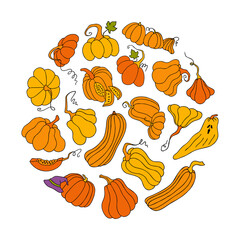 Cute autumn vector illustration, hand drawn pumpkins