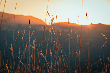 coucher du soleil sur le Jura
