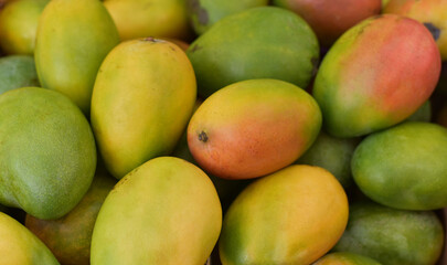 Lots of mangoes in the market
