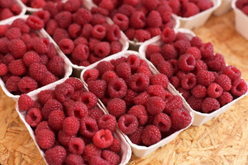 Lots of raspberries in trays