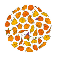 Cute autumn vector illustration, hand drawn pumpkins