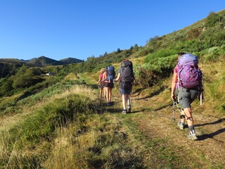 Jeunes femmes en randonnée en montagne dans la forêt et sur sentier Pyrénées ariégeoises...