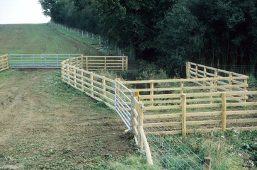 cattle and sheep stock fencing in agricultural field UK