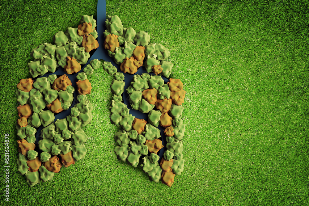 Poster abstract green lungs on grass background with mock up place. ecology and green energy concept. 3d re