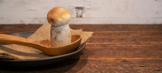 Food photography background - Forest mushroom / Boletus edulis (king bolete) / penny bun / cep /...