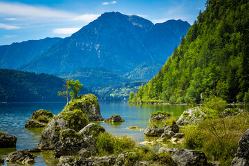 View of a tree growing on a boulder in the alpine Altausseer See (Lake Aussee) in Ausseer Land, Styria, Austria, with Altaussee in the background