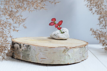 Cylindrical wooden podium on a white background with pampas grass and a red sprig in stone. A stage for the demonstration of a natural product, a showcase.