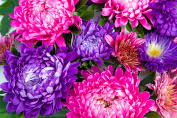 Bright floral background of chrysanthemums and gergines in pink tones. Postcard, poster.