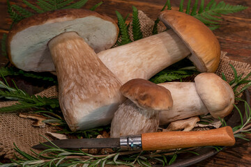 Food photography background - Fresh and dried forest mushrooms / Boletus edulis (king bolete) /...
