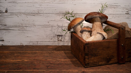 Food photography background - Forest mushrooms / Boletus edulis (king bolete) / penny bun / cep /...