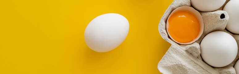Top view of natural yolk in shell near white eggs in container on yellow background, banner.