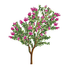 blooming tree, blooming lilac bush isolated on white background. botanical illustration, vector