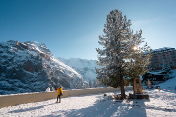 Murren , Swiss mountain village near Schilthorn  and Lauterbrunnen during winter sunny day : Murren...