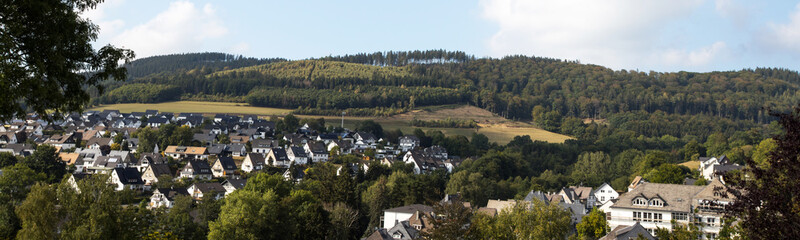 historic german town bad fredeburg panorama - obrazy, fototapety, plakaty