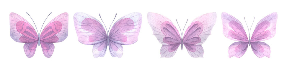 A set of pink, purple, delicate butterflies top view. Watercolor illustration. For the design and composition of postcards., invitations to weddings and romantic parties, postcards, posters, prints.