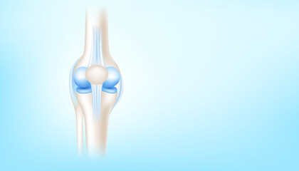 Knee joint with healthy cartilage side on blue background with copy space for text. ฺBone human skeleton anatomy of the body. Medical health care science concept. Realistic 3D Vector illustration.