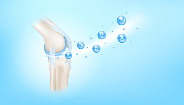 Vitamins and minerals calcium zinc and magnesium absorbed into the bone cartilage. Human skeleton anatomy model. Care bone knee joint. Can be used in food advertising media. 3D vector EPS10.