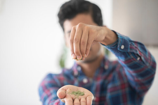 Man crushing herbs in hands
