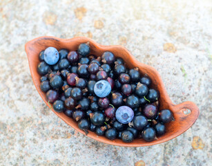 Lots of ripe, juicy currants.