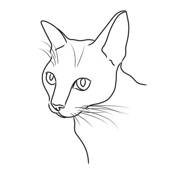 Vector black line drawing of a cat outline on a white background.