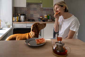 Lonely middle-aged woman eats sandwich with jam sitting at table near at dog. Favourite pet follows...