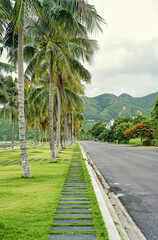 Fototapeta na wymiar Tropical vertical landscape with road and palms in Vietnam in An Vien village