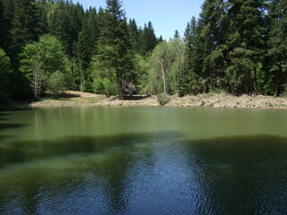 plateau and forest