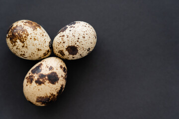 Fototapeta premium Top view of organic quail eggs on black background with copy space.