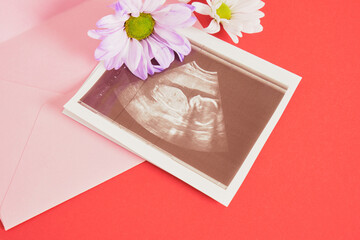 chrysanthemum flowers and snapshot of an ultrasound scan on a red background pregnancy