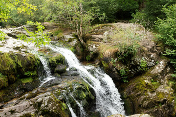 Waterfall in the forest, at Aira Falls, in the Lake District.