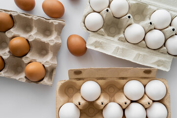 Top view of eggs and cardboard containers on white background.