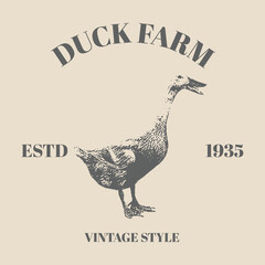 Fototapeta na wymiar Logo Vintage Duck Firm. Hand Drawn. Cross Hatching Duck. Retro Vintage Hand Drawing Vector Illustration Logo Bird, mallard, farm animal sketch. Template Design