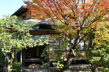 京都大本山天龍寺の日本庭園の紅葉風景