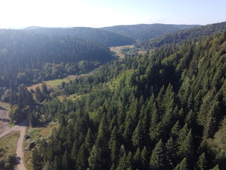 plateau and forest