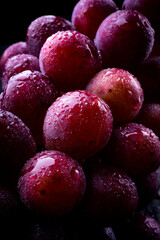 葡萄　フレッシュ