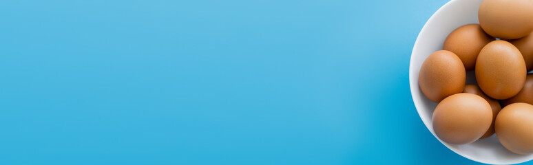 Top view of brown eggs in white bowl isolated on blue, banner.