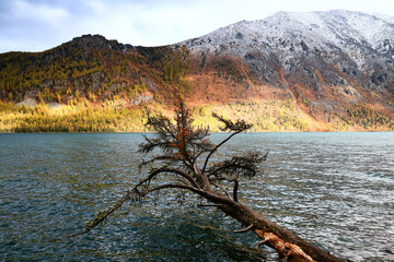 landscape mountain altai, panorama scenery freedom, autumn nature of siberia