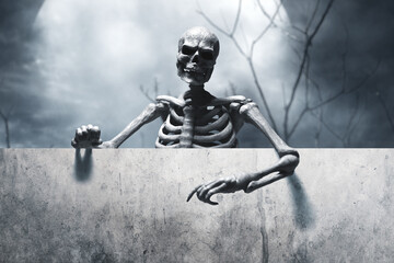 Fototapeta Human skeleton death, Halloween theme obraz