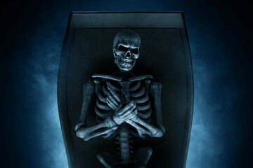 Human skeleton on dark background