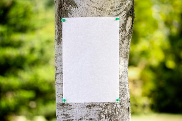 Announcement notice sign blank background pinned on a tree