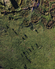 shadows on the plateau