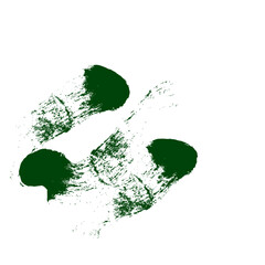 Grunge Brushstroke Streak Green