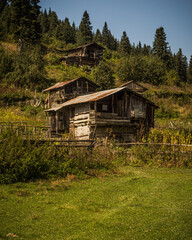 Obraz premium autumn on the plateau
